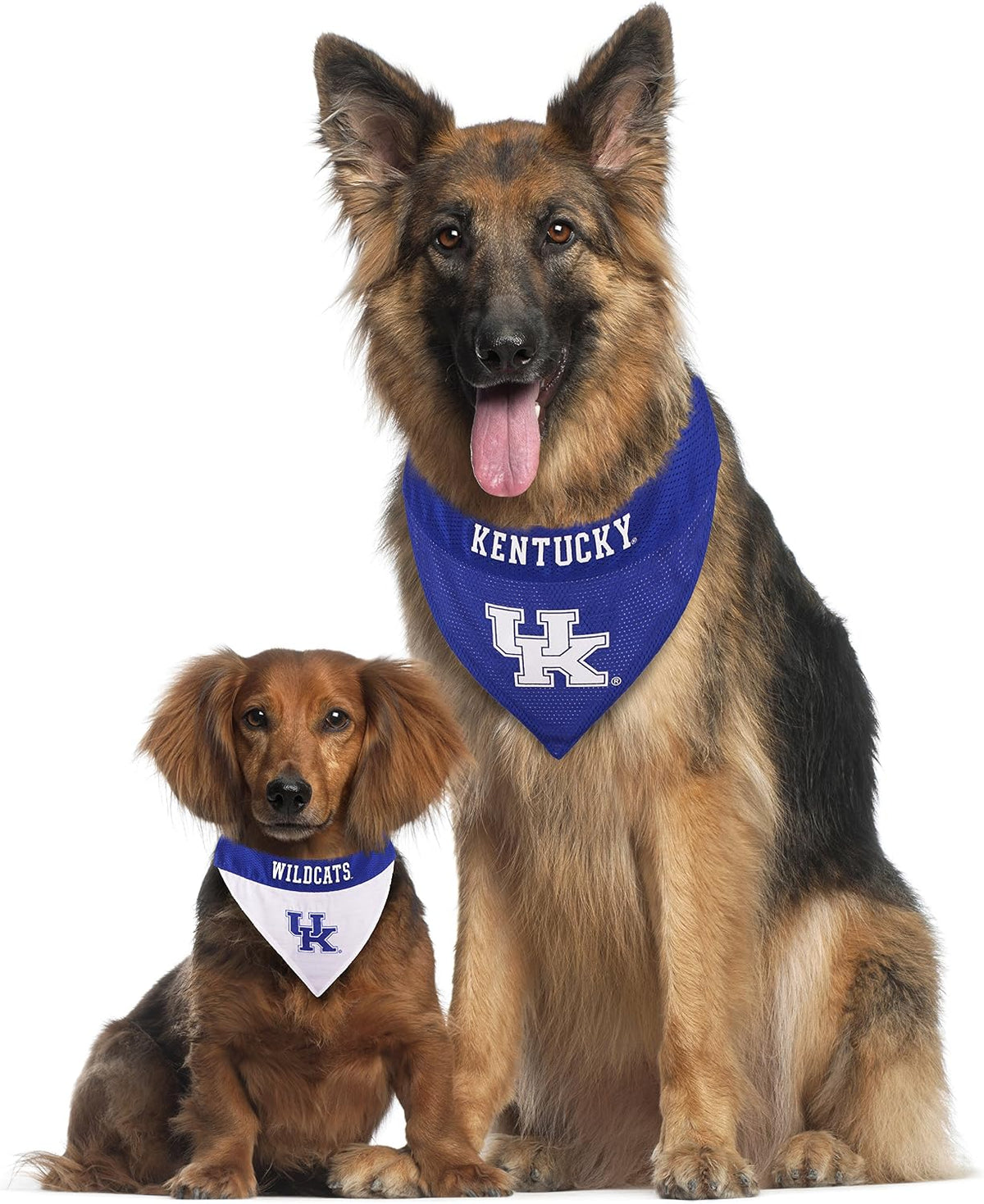 Collegiate Pet Accessories, Reversible Bandana, Kentucky Wildcats, Small/Medium