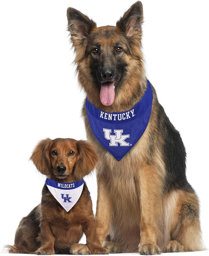 Collegiate Pet Accessories, Reversible Bandana, Kentucky Wildcats, Small/Medium