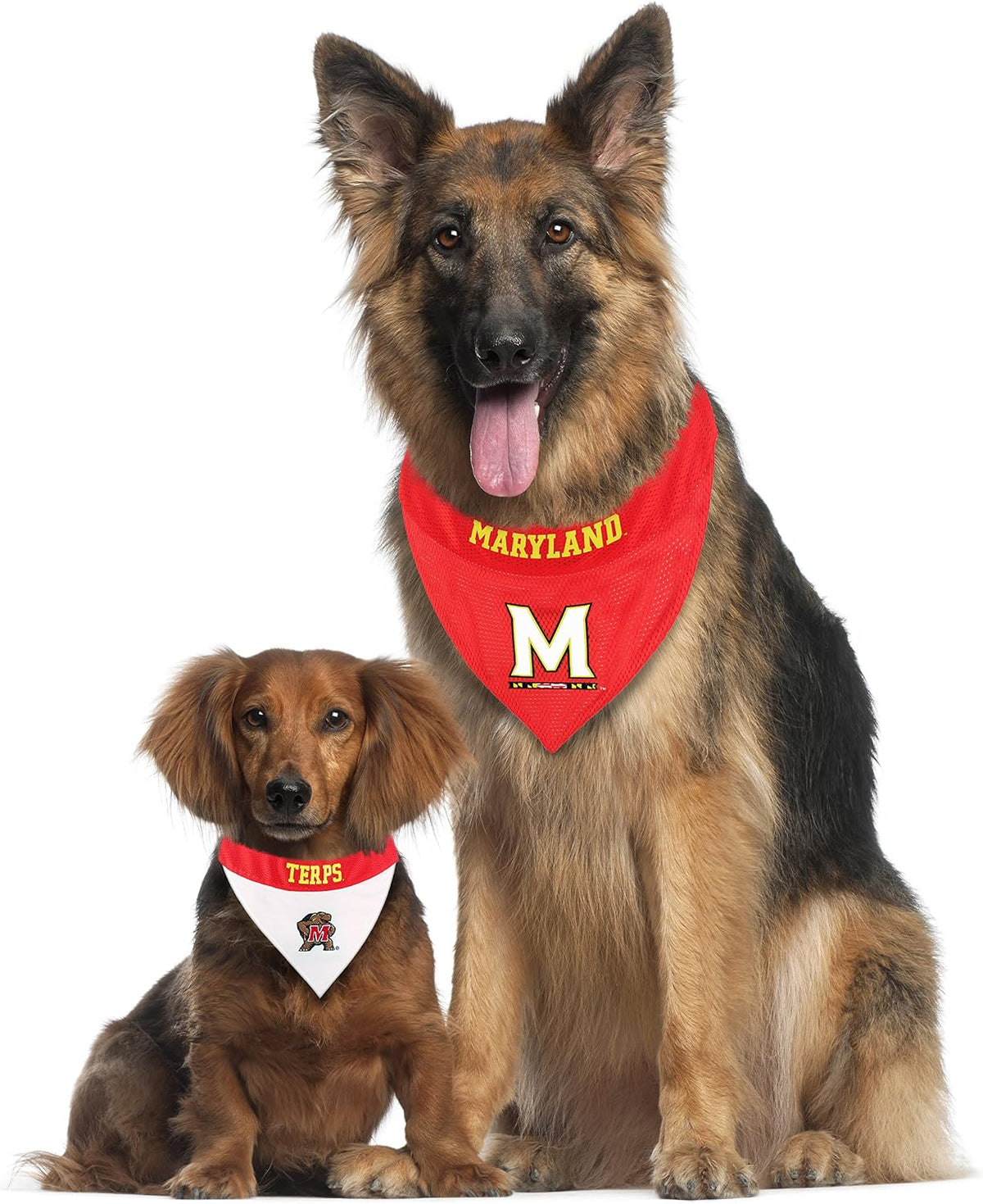 Collegiate Pet Accessories, Reversible Bandana, Maryland Terrapins, Large/X-Large