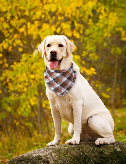 Fall Dog Bandana Autumn Thanksgiving Plaid Reversible Triangle Bibs Scarf Accessories for Dogs Pets | Accessories for Dogs Pets