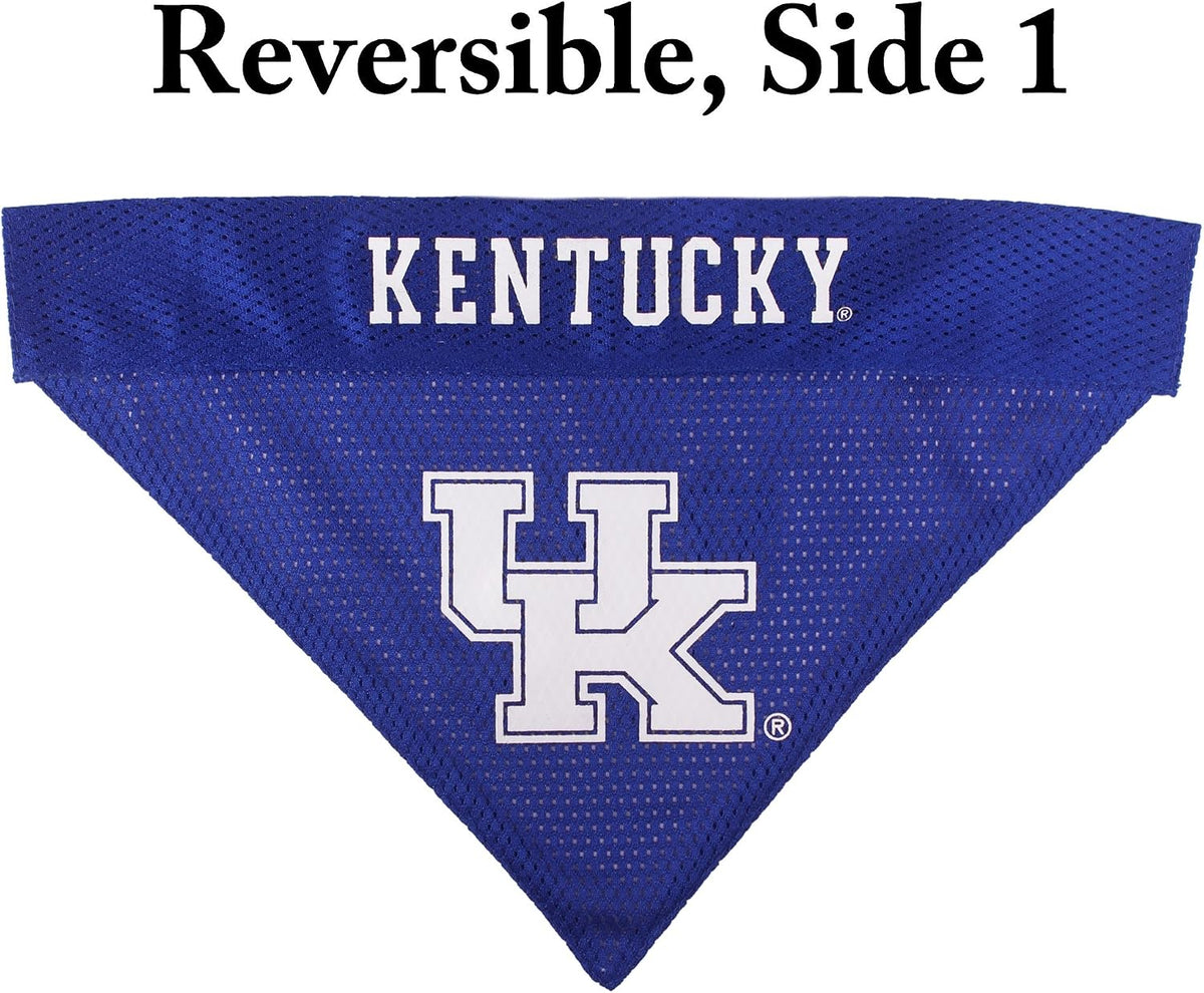 Collegiate Pet Accessories, Reversible Bandana, Kentucky Wildcats, Small/Medium