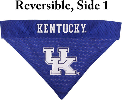 Collegiate Pet Accessories, Reversible Bandana, Kentucky Wildcats, Small/Medium